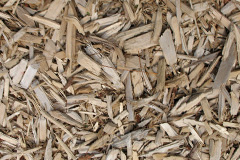 biomass boilers Coed Eva