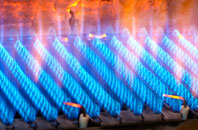 Coed Eva gas fired boilers